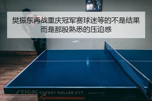 樊振东再战重庆冠军赛球迷等的不是结果而是那股熟悉的压迫感